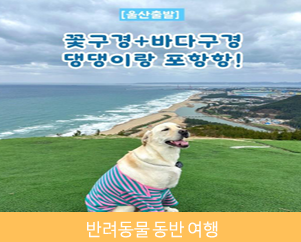 ㈜모두의여행 기업 이미지 4